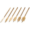 Amtech Titanium 6 Piece Flat Wood Drill Bit Set