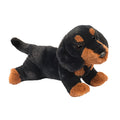 Dottie Dachsund