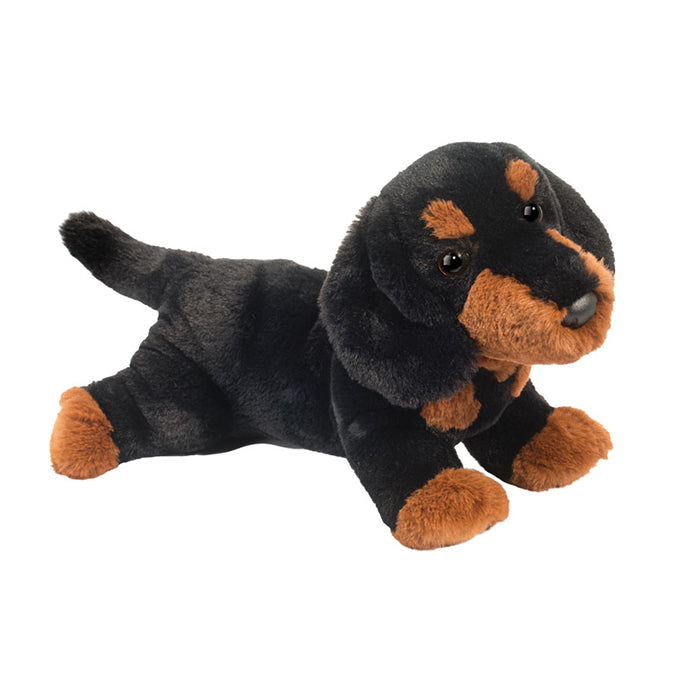 Dottie Dachsund