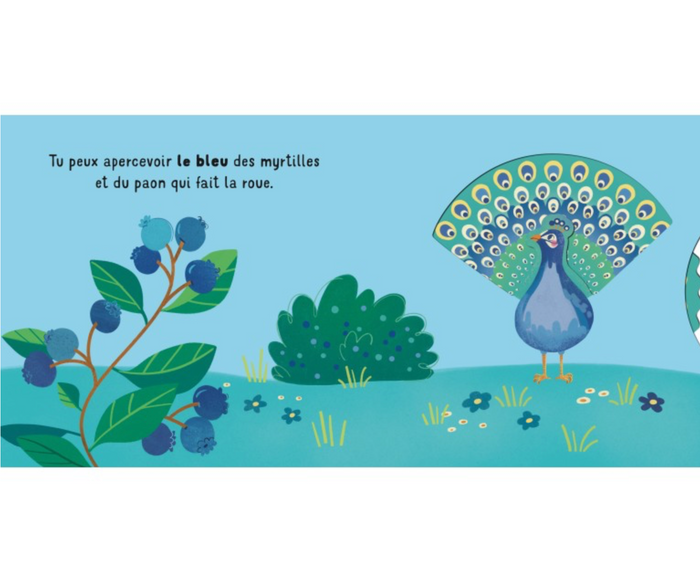 Livre | Glisse et découvre les couleurs