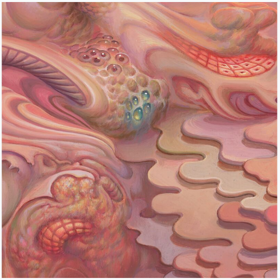 Mars-1: Mysterium