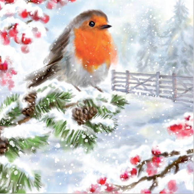 Marymount Christmas Cards (4 Styles)