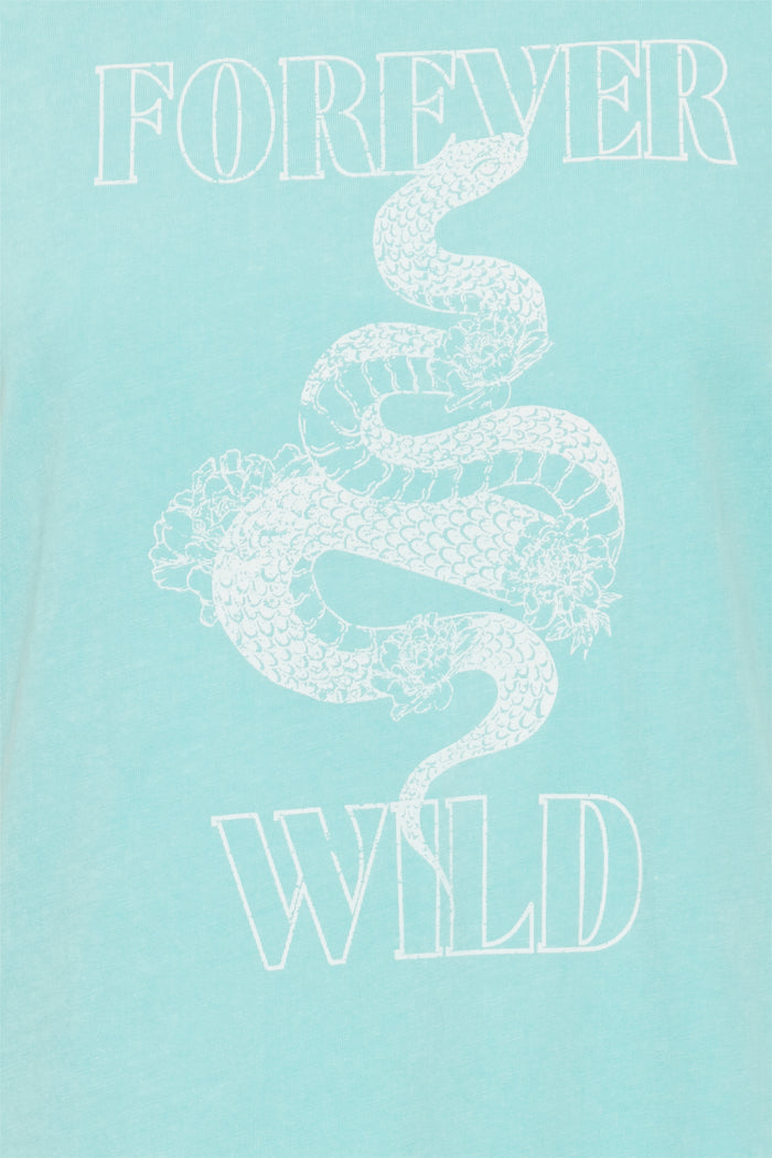 Ossi T-Shirt (Nile Blue)