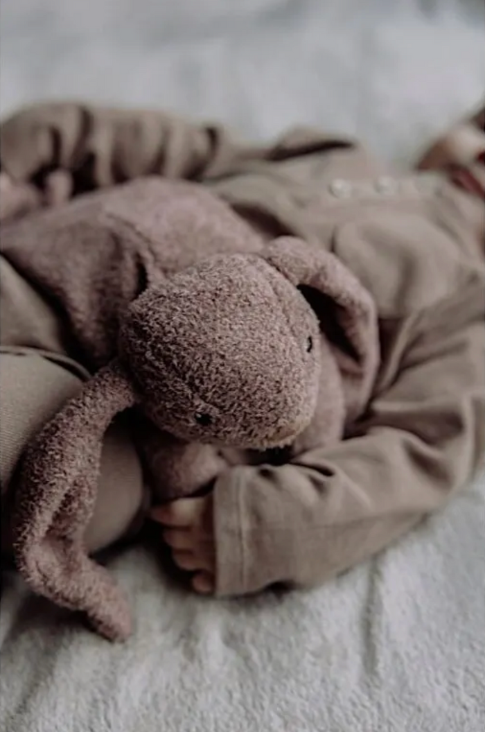 Peluche bouillotte | Lapin rubis