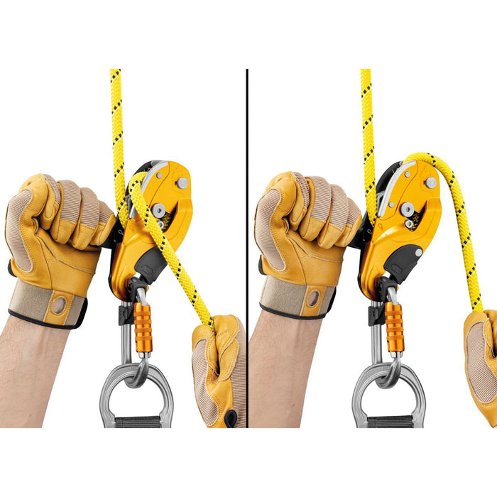 Rig Descender