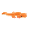 Sam Salamander