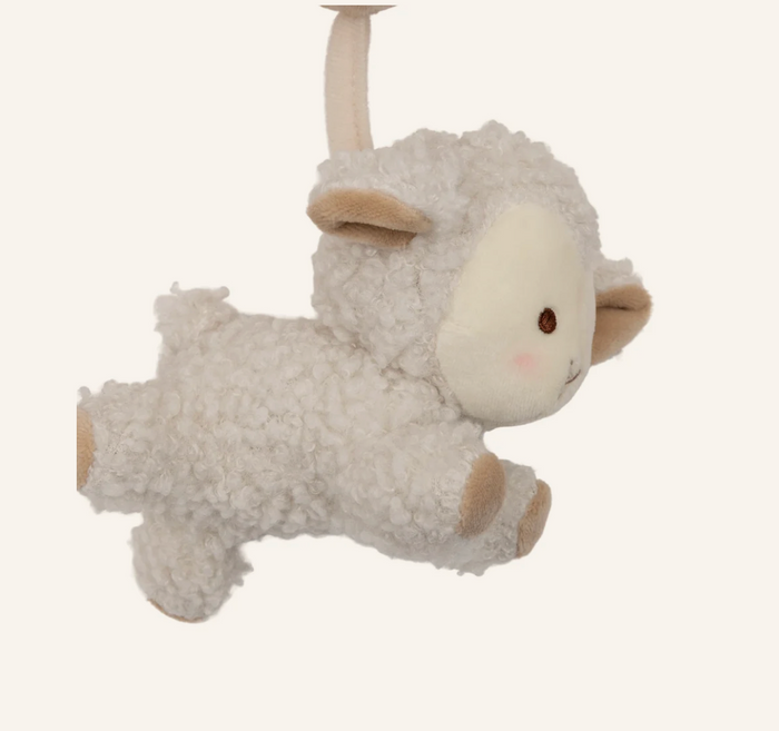 Spirale d'activités | Woolly