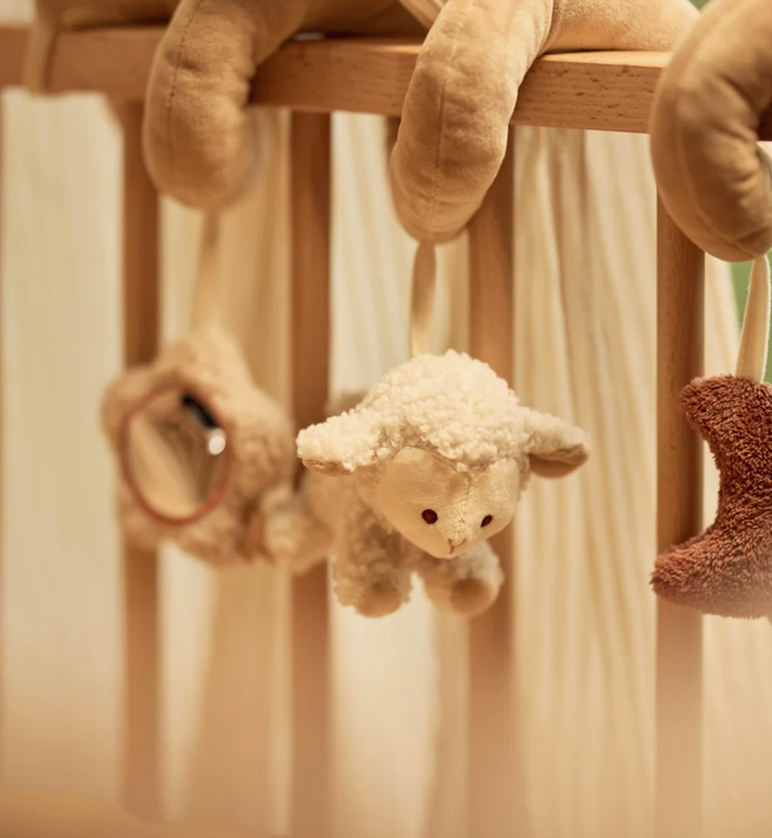 Spirale d'activités | Woolly