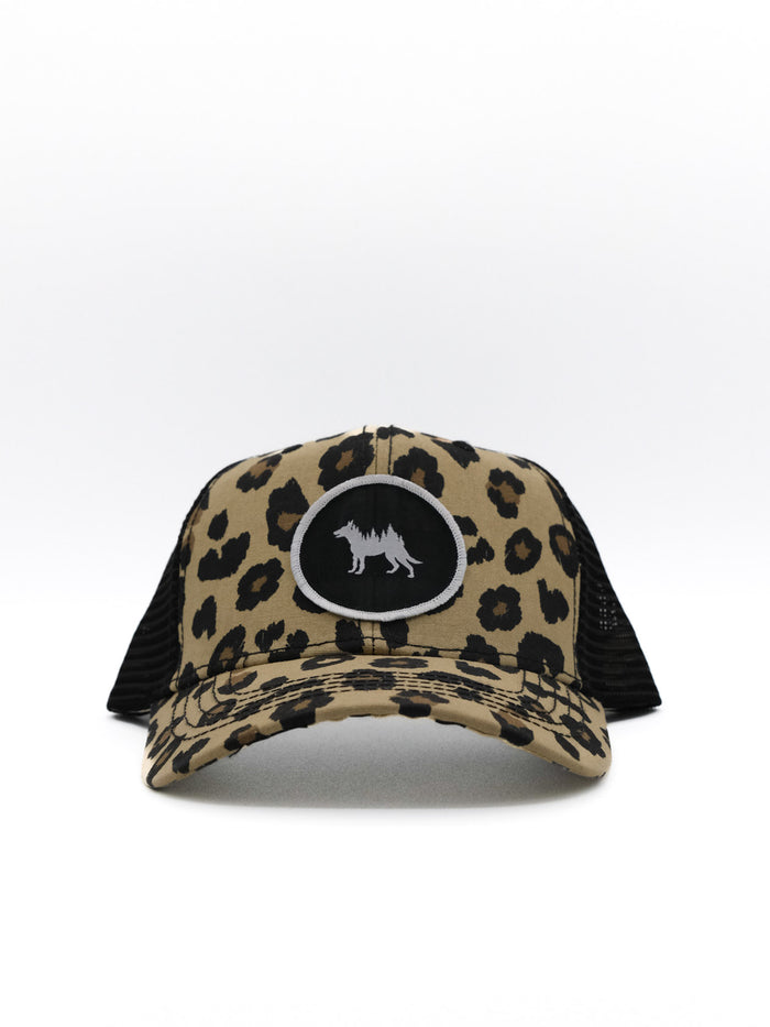 Black Cheetah
