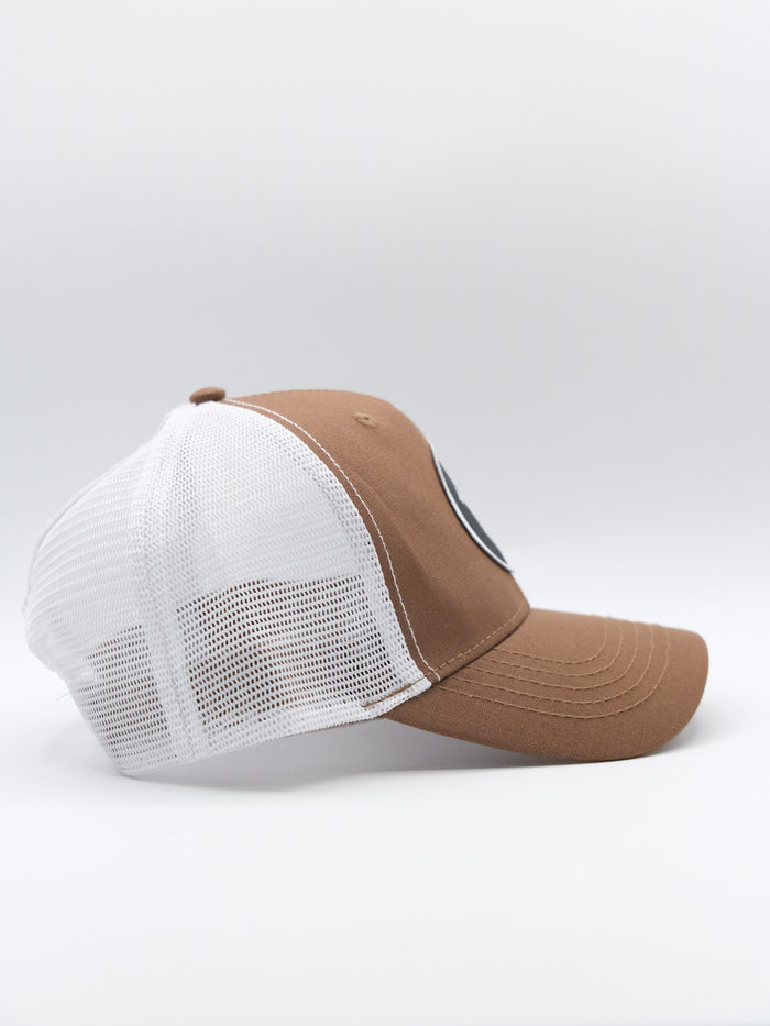#color_brown